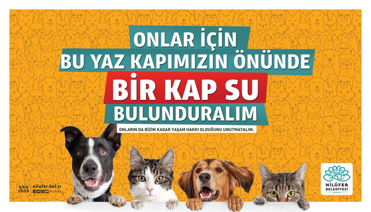 Havalar ısındı, daha da ısınmaya devam ediyor…
Biz bir şekilde sıcaktan korunuruz…
Ya can dostlarımız?
Onlar için bu yaz kapımızın önünde bir kap su bulundurmayı unutmayalım…
#ÇünküÖnemsiyoruz #BecauseWeCare