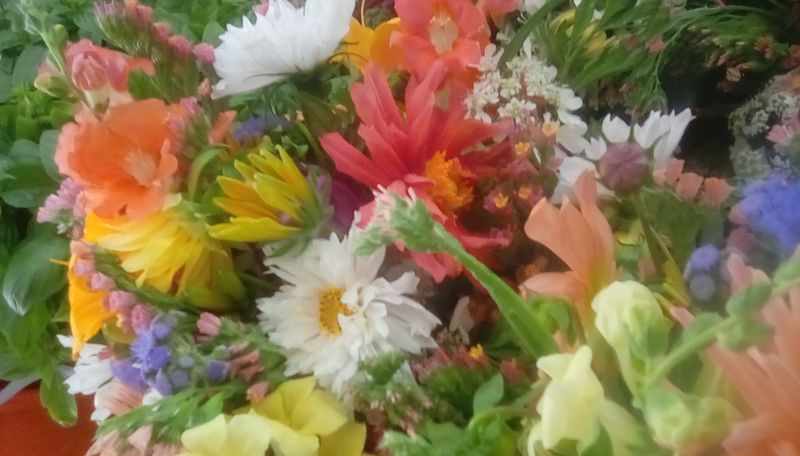 TrexlerFarmMkt's tweet photo. June is almost over! - https://t.co/695i9JQIHT https://t.co/88jEKVh9tO