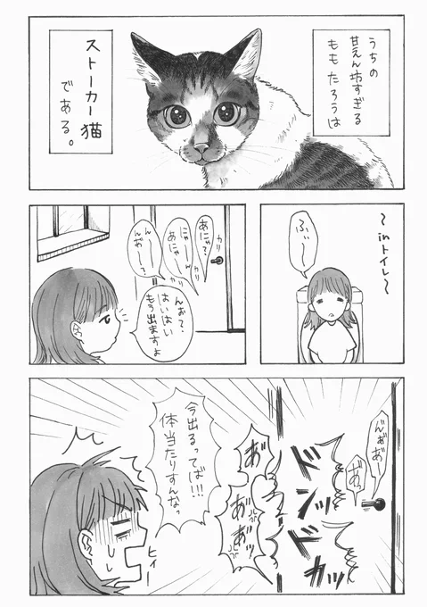 #ねこ #猫 #ネコ 