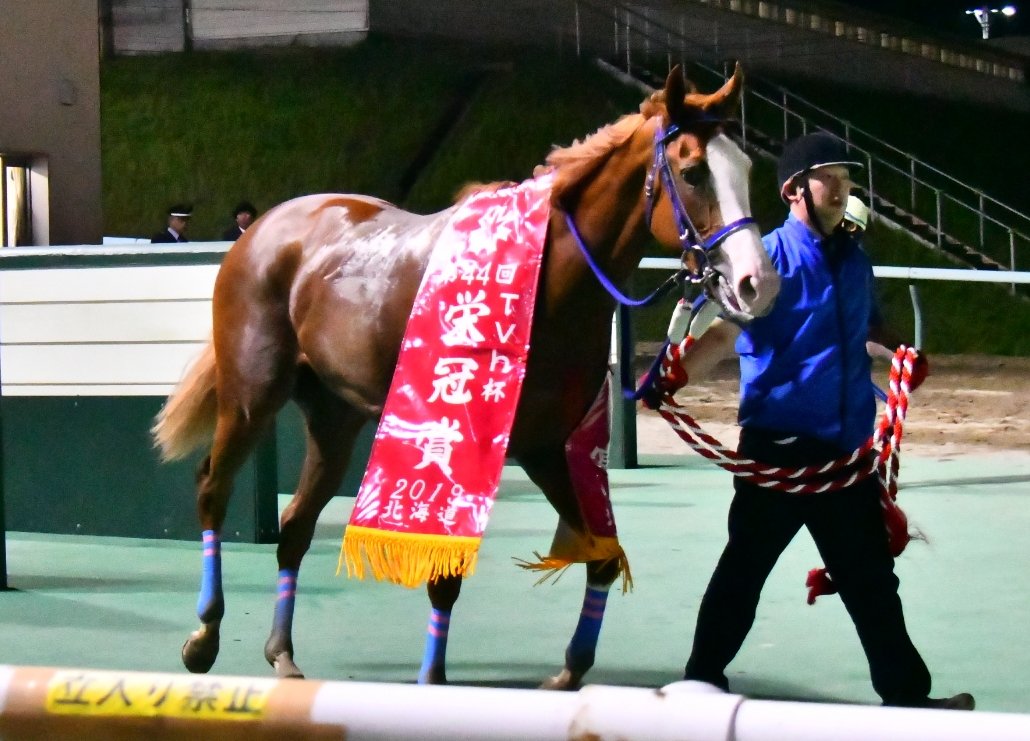 パカパカ工房 ワクチン3回接種済 第44回栄冠賞 H2 令和最初の2歳重賞はバブルガムダンサー 角川秀樹厩舎 父はパイロ 母はjpn 勝ち馬のオノユウで栄冠賞親娘制覇を達成 小野優子 Htb がtvhから表彰を受けるカオスが再来 派手顔の パカパカ工房 ワクチン3回接種済 第44回栄冠賞 H2 令和最初の2歳重賞はバブルガムダンサー 角川秀樹厩舎 父はパイロ 母はjpn 勝ち馬のオノユウで栄冠賞親娘制覇を達成 小野優子 Htb がtvhから表彰を受けるカオスが再来 派手顔の