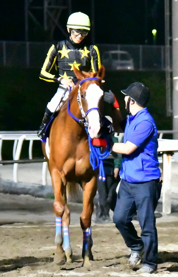 パカパカ工房 ワクチン3回接種済 第44回栄冠賞 H2 令和最初の2歳重賞はバブルガムダンサー 角川秀樹厩舎 父はパイロ 母はjpn 勝ち馬のオノユウで栄冠賞親娘制覇を達成 小野優子 Htb がtvhから表彰を受けるカオスが再来 派手顔の パカパカ工房 ワクチン3回接種済 第44回栄冠賞 H2 令和最初の2歳重賞はバブルガムダンサー 角川秀樹厩舎 父はパイロ 母はjpn 勝ち馬のオノユウで栄冠賞親娘制覇を達成 小野優子 Htb がtvhから表彰を受けるカオスが再来 派手顔の