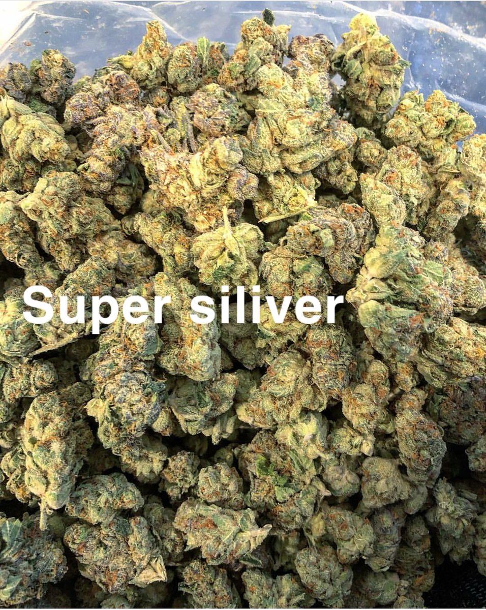 Super siliver haze 🌿🌿🌿🌿🌿🌿🌿⛽⛽⛽⛽What do you think about a squarebody  
•
•
•
•
•
#c10 #c10club #c10crew #chevylife #k10 #classictruck #c10trucks #c20 #chevyonly #squarebody #k5 #chevytruck #truckin #pickup #suburban <a href="/BlackSexVids/">Black Sex Vids 🍫💦</a> <a href="/c10clubapparel/">C10 Lifestyle</a>