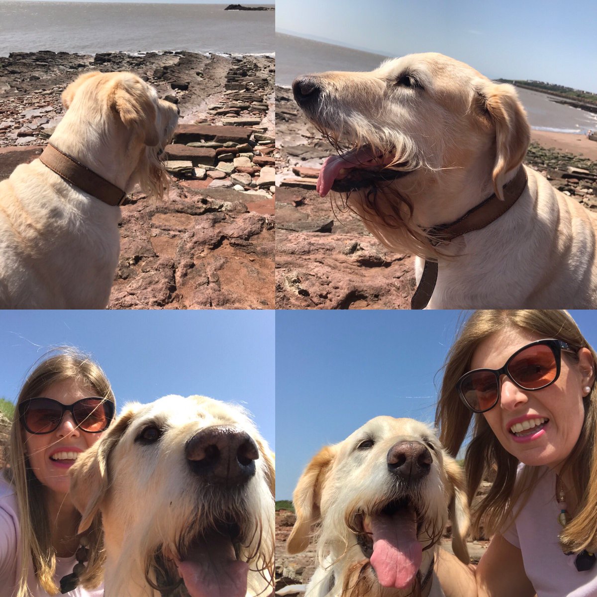 Bustie & I ❤️ the Bendricks! #thatdoghasgotabeard #welshbeaches #visitsouthwales #ValeOfGlamorgan #labradoodle #dogs #summerloving