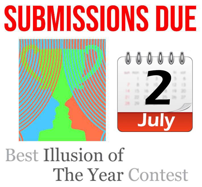 Illusion Contest tweet media