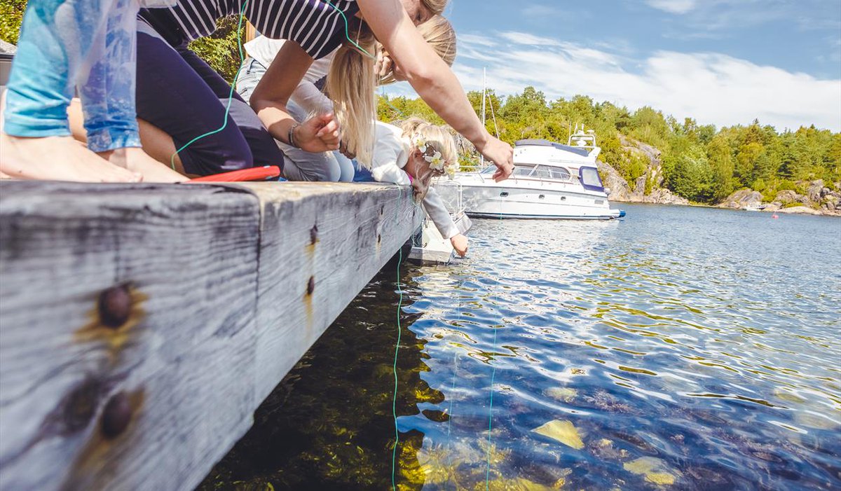 visittelemark's tweet photo. Årets store nyhet! 🎉
Øyene og fergene blir koblet sammen fergetrafikken i Langesundsfjorden med Kragerø-regionen hvor hurtigbåten Perlen vil gå i rute i sommer Kragerø-Jomfruland-Langesund fra 1 juli. 
Sjekk ut det nye øyhoppingskartet her 👉 https://t.co/Ewga3G90Su https://t.co/wgBbwednSd