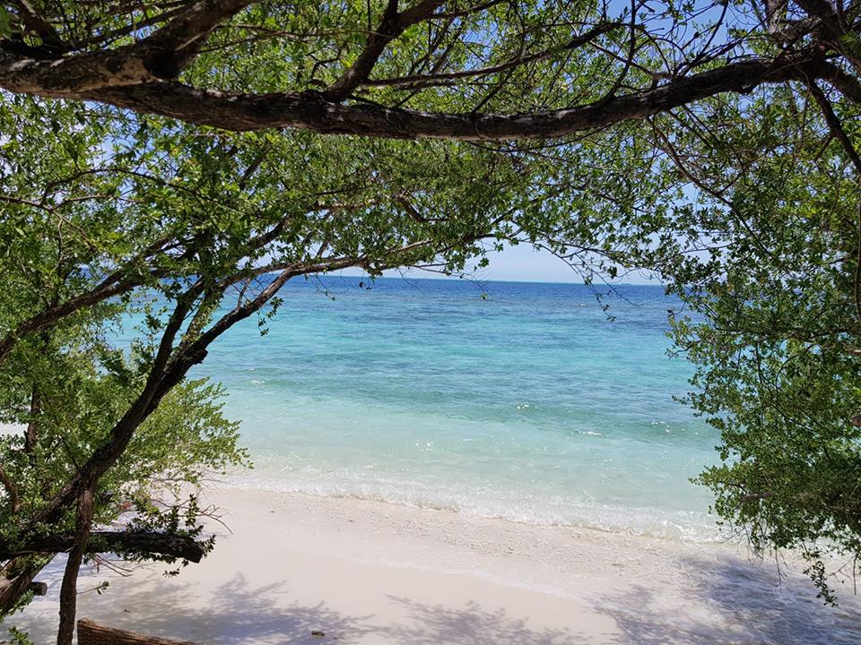 Window to tranquility...☀️🌿
.
.
.
Photo : charllotte Mckenna

#OBLUHelengeli #Maldives #Island #travel #vacation #beach