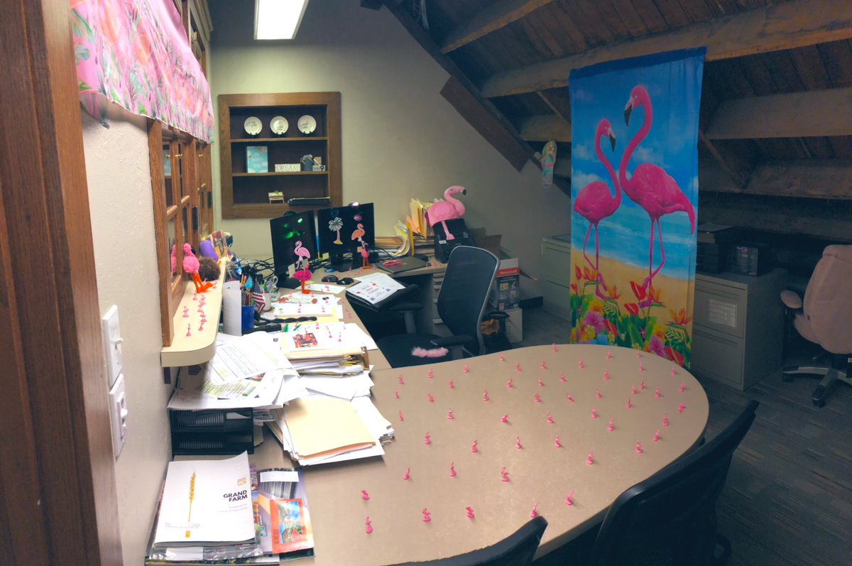 ElAgather's tweet photo. #ThrowbackThursday to yesterday when we #flocked another office at the Depot! #FlockingFundraiser #FargoParks #LIVEUNITEDCassClay https://t.co/vTumASZIQr