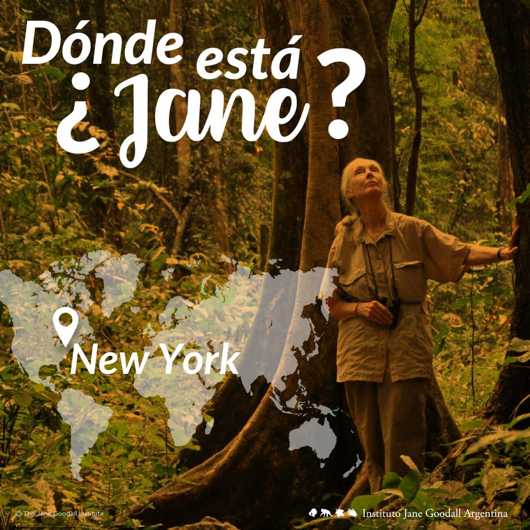 JaneGoodallArg's tweet photo. ¿ #DóndeEstaJane? ¡En New York, USA! 🗺📌
#WhereIsJane #NewYork #JaneGoodall https://t.co/W2yEmIDGfx