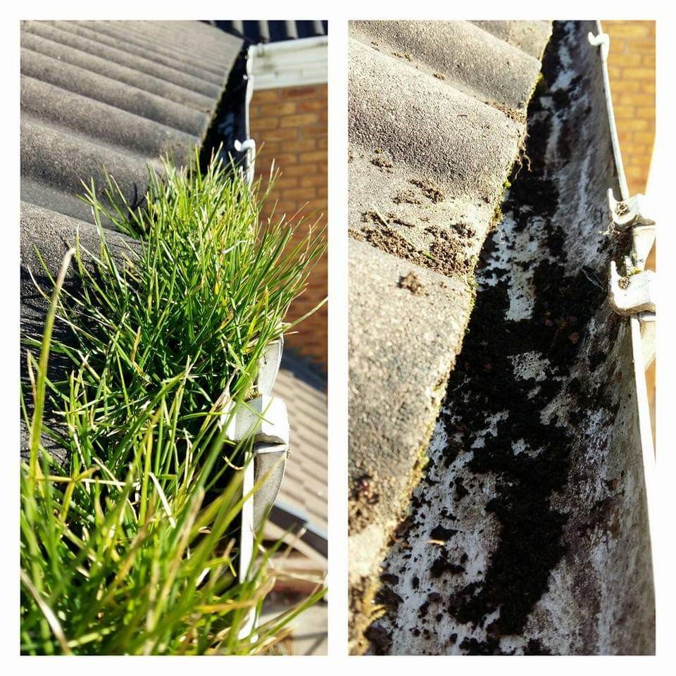 infoextremewin1's tweet photo. We love a fascia deep clean! We have the tools and methods to bring out the best clean, some photos from recent fascia cleans #fasciaclean #worcestershirehour #deepclean https://t.co/Oo3nugYKim