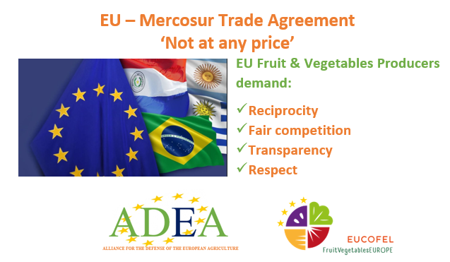 FruitvegEUROPE's tweet photo. EU-MERCOSUR: #FruitVegetablesEUROPE is in favour of #TradeAgreements but ‘NOT at ANY PRICE’.
The 🇪🇺EU #Agriculture should not be undermined in Trade Agreements.
EU #Fruit &amp; #Vegetables Producers demand:
1⃣ #Reciprocity
2⃣ #Faircompetition
3⃣ #Transparency
4⃣ #Respect 
#ADEA https://t.co/lvZlmIQLjC