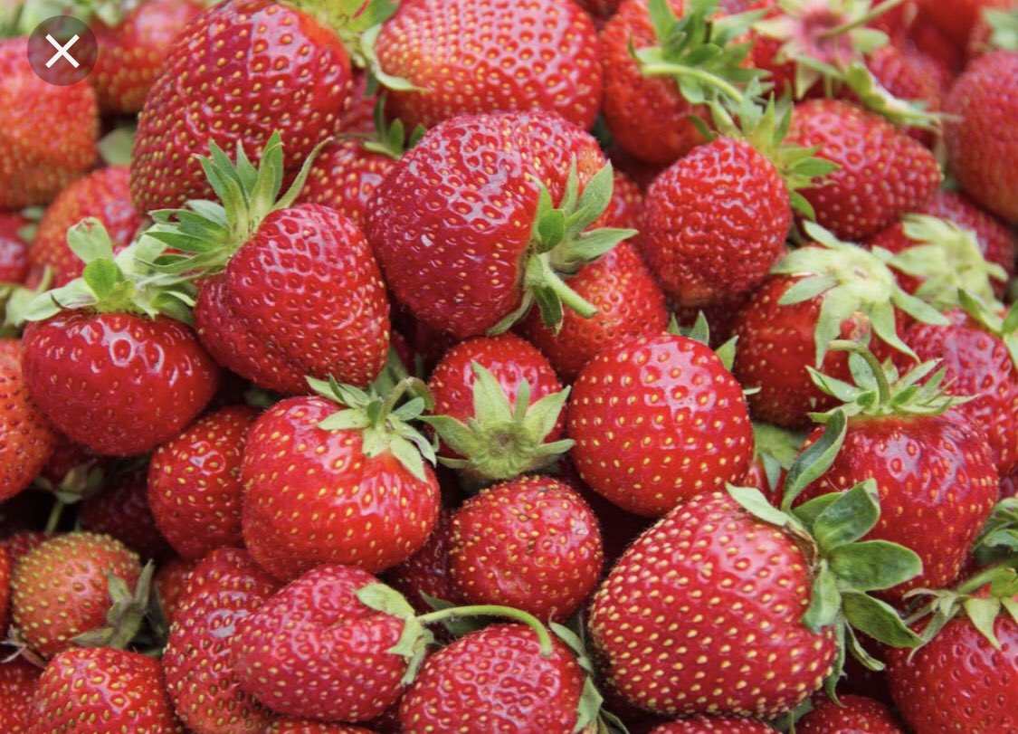 Strawberries 🍓 are finally t the Market!  Be sure to come get yours next Tuesday!