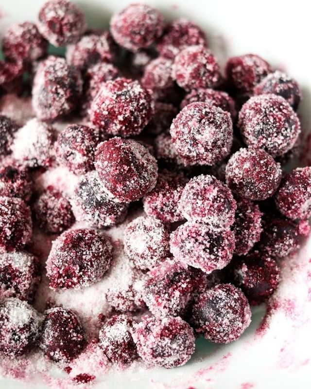 PPlates's tweet photo. What's your favorite muffin mix-in? I thought I didn't like blueberries...until I made the best blueberry muffins 😍 | link to the recipe is in my bio or ask & I'll send it over
https://t.co/OP8BmfdA4s
#muffins #blueberrymuffin #blueberrymu… https://t.co/rTJAKjoLRZ https://t.co/MdS0PK4XBL