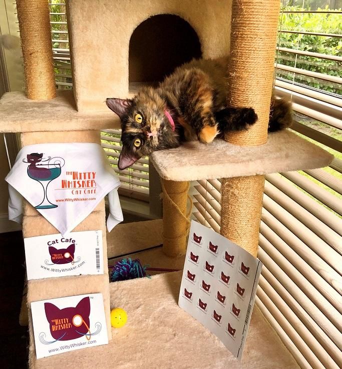 TrailMark Living tweet media