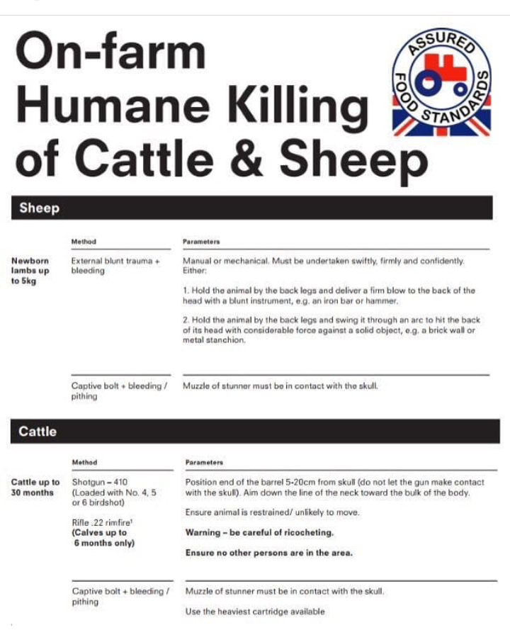 herbivore_club's tweet photo. Below is information about how farmers kill Cattle & Sheep 🐂🐑
You may not have known about this.
Now you know you can make a change 👍
#NationalForgivenessWeek #ForgivenessWeek https://t.co/eHQYKbsjZq