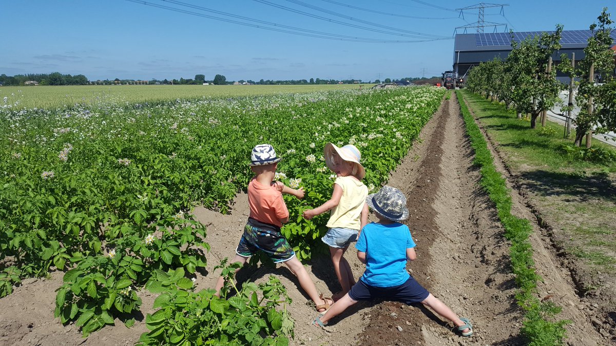 Inspectie door de junior specialisten