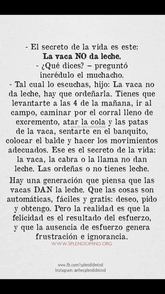 EnlaisladeCirce's tweet photo. Lección vital aprendida hoy " La gota de agua perfora la roca, no por su fuerza sino por su constancia" Quiero llegar a ser la paciente del agua. https://t.co/zpRjzmfqRm