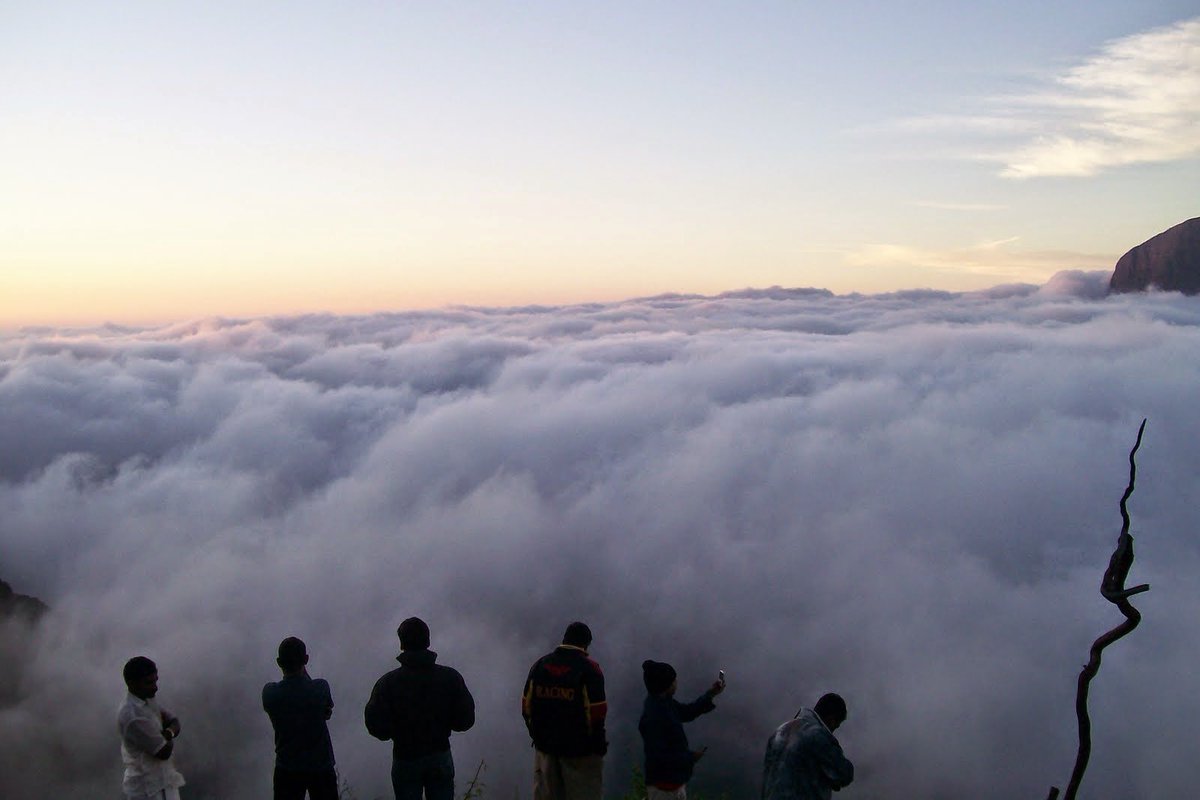 itravelacross's tweet photo. #TravelAcrossOceans
Stunning view from Phantom Head in Munnar....!!!!!!
Get ready to explore with Travel Across Oceans
For more details Click https://t.co/4h4igAueCx
#kerala #munnar #stunningview #PhantomHead #munnardiaries #exploretheworld #naturebeauty #incrediblekerala  #india https://t.co/PldfCkmEBo