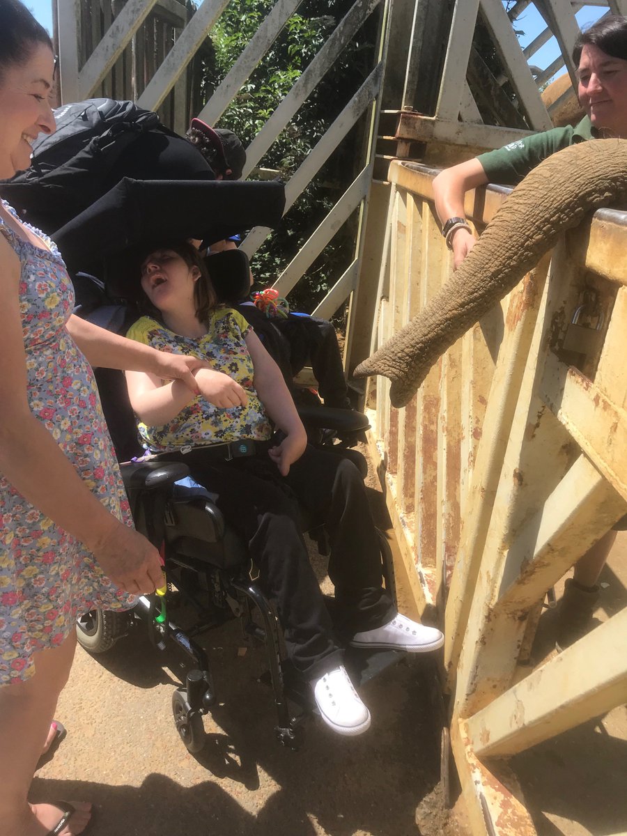 HavensHospices's tweet photo. Some of our young adults and their families had a wonderful time last weekend on a ‘J’s Day Out’ to @ColchesterZoo There were sensory activities to enjoy and lots of animals to spot 🐘🐵What a wonderful way to spend a sunny Saturday!
#TheJsHospice #hospicecare @Tog4ShortLives https://t.co/zTp8Tuokk1