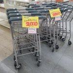ショッピングセンターの閉店セールで？ショッピングカートが売られてる!