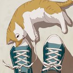 色んな足元まとめてみました!ちょっと待て最後のやつ‼