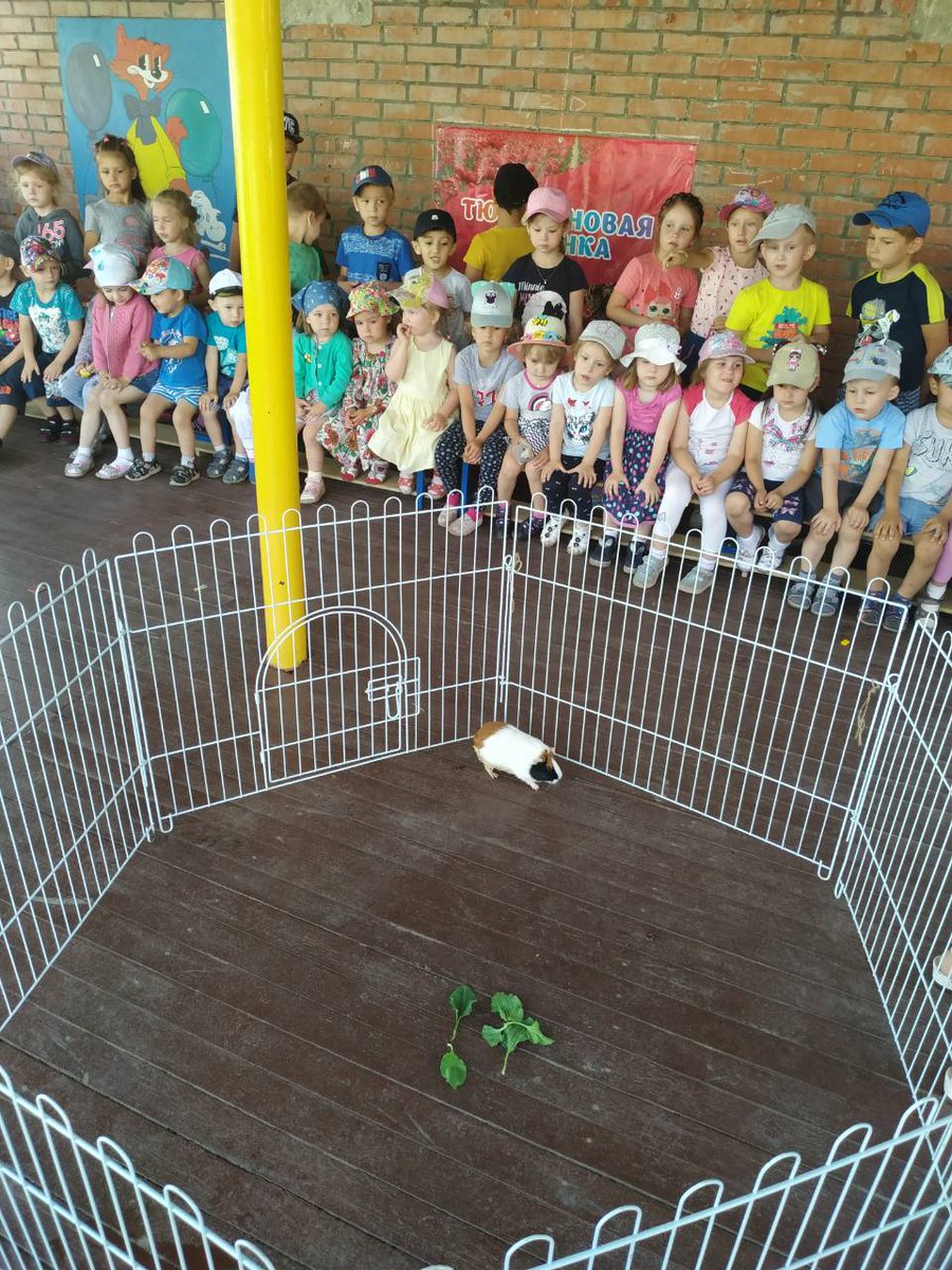 Волонтёрское движение, созданное в детском саду продолжает свою работу. Новая встреча, новые питомцы, незабываемые эмоции. Благотворительный сбор передан питомцам приюта "Твои друзья" Самарского общества попечительства над животными