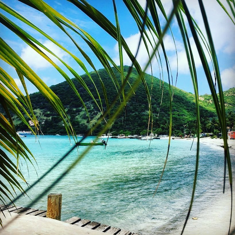 A tropical experience awaits you here. 🌴⛵

📸 : @fortheloveofstjohn

#bvi #britishvirginislands #natureslittlesecrets #jostvandykebvi #jvd #palmtrees #travelthursdays #boats #paradise🌴 #bviparadise #youshouldvacationhere #vacationinthebvi #caribbeanwayoflife #islandlife