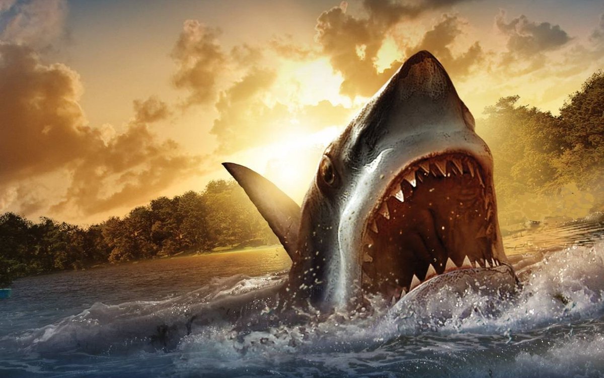 Au Temps Des Requins Et Des Sauveurs Requins : Dernières actualités en direct, info en temps réel - Scoopnest