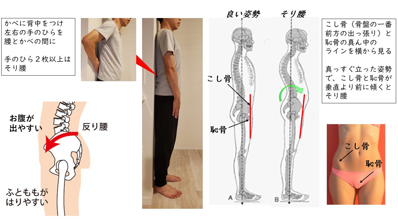 理学療法士キリツ 姿勢良くする人 در توییتر 自分が そり腰 か要チェック そり腰になると 腹筋に力が入らないのでお腹が出やすくなったり 太ももの筋肉に力が入りやすいので 太ももが太くなりやすいです チェック方法は 壁の前に立って腰に両手を入れる 理学療法士キリツ 姿勢良くする人 در توییتر 自分が そり腰 か要チェック そり腰になると 腹筋に力が入らないのでお腹が出やすくなったり 太ももの筋肉に力が入りやすいので 太ももが太くなりやすいです チェック方法は 壁の前に立って腰に両手を入れる