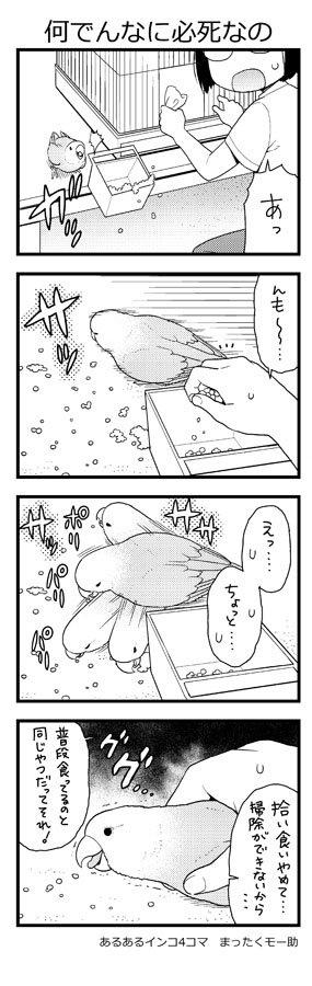 あるあるインコ4こま まとめ Min T ミント