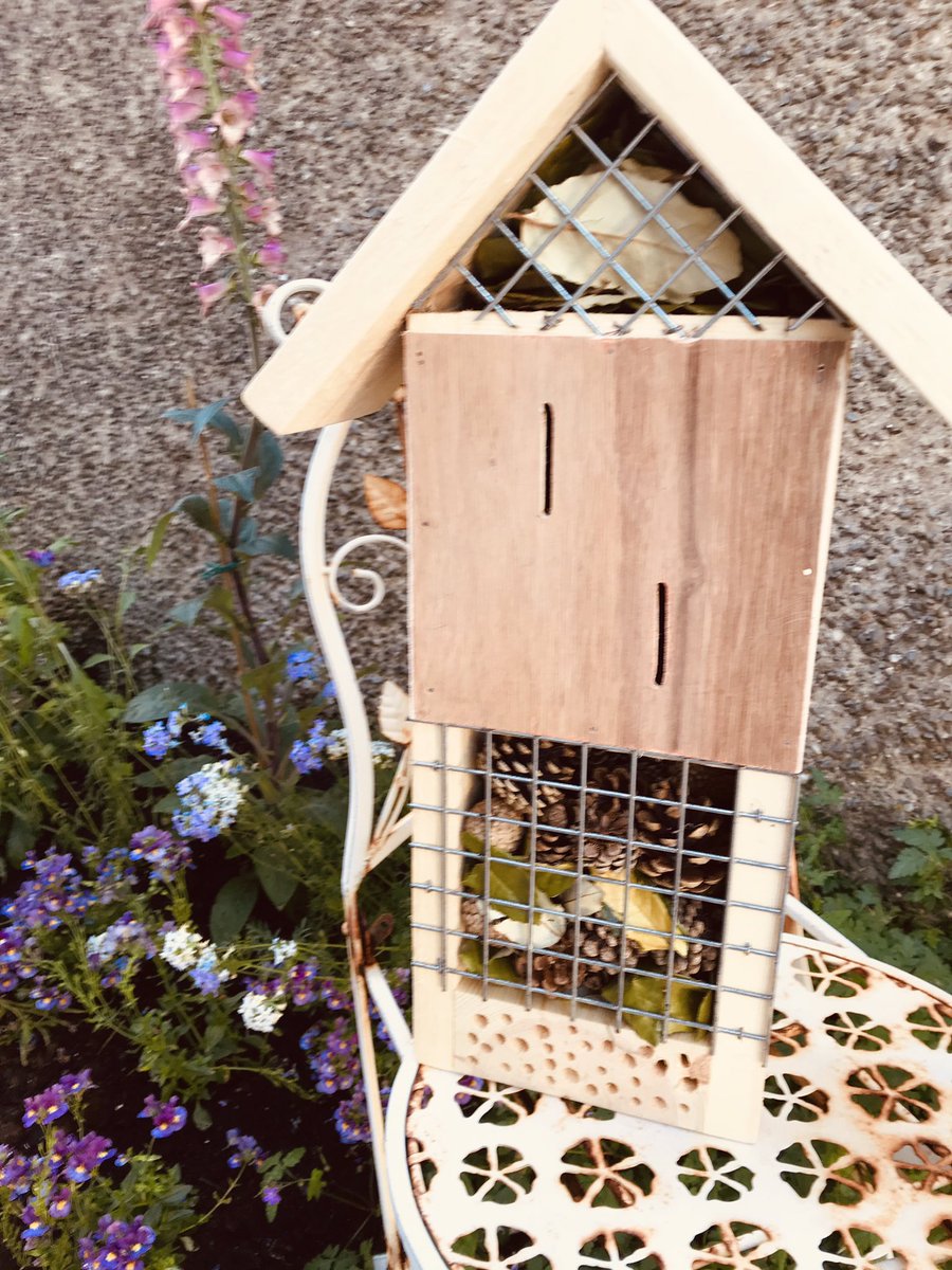 My Brother made me a #BugHouse hopefully attract #LeafCutterBees (solitary bee) ! 🐝🐜🐞🦟🐝🐛