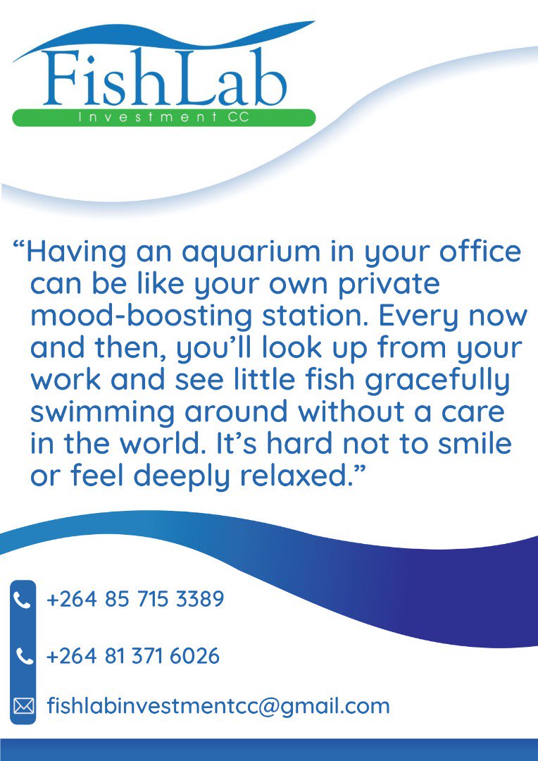 FishlabNA's tweet image. 