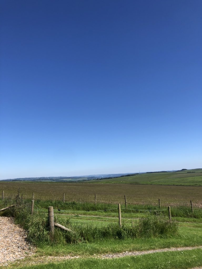 View from the holiday cottage today ☀️  #access4all #farmstay #Northumberland