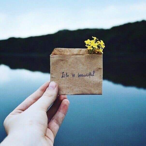 У меня была идеальная жизнь. Цитаты про поддержку. Дело не в тебе дело во мне я идеален. Эта идеальная жизнь. У меня была идеальная жизнь.