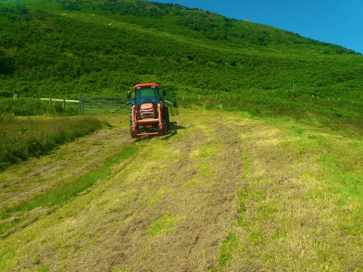 Grass cutting in @WoodlandTrust Coed Ysgubor Wen today ☀️ 🥵