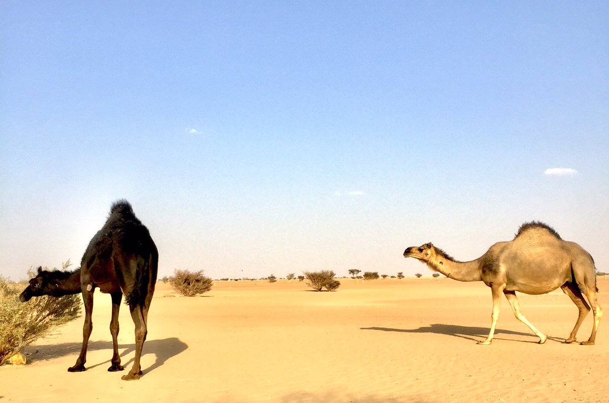 #نجران_الان

انفوسنآ رغم الخطآ تحسن الظن
ووجيهنا لو گشر الوقت سمحهه