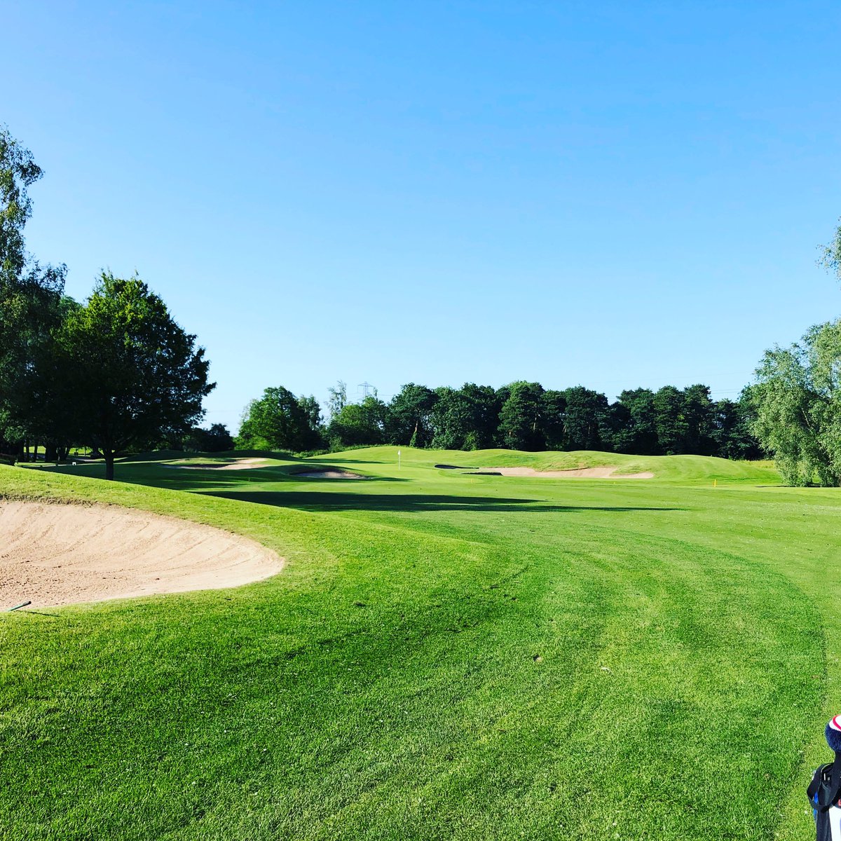 Few Holes after work #Brabazon @TheBelfryHotel 🏌️‍♂️ course is beautiful is the sunshine ☀️ #golf #corporategolf #societygolf