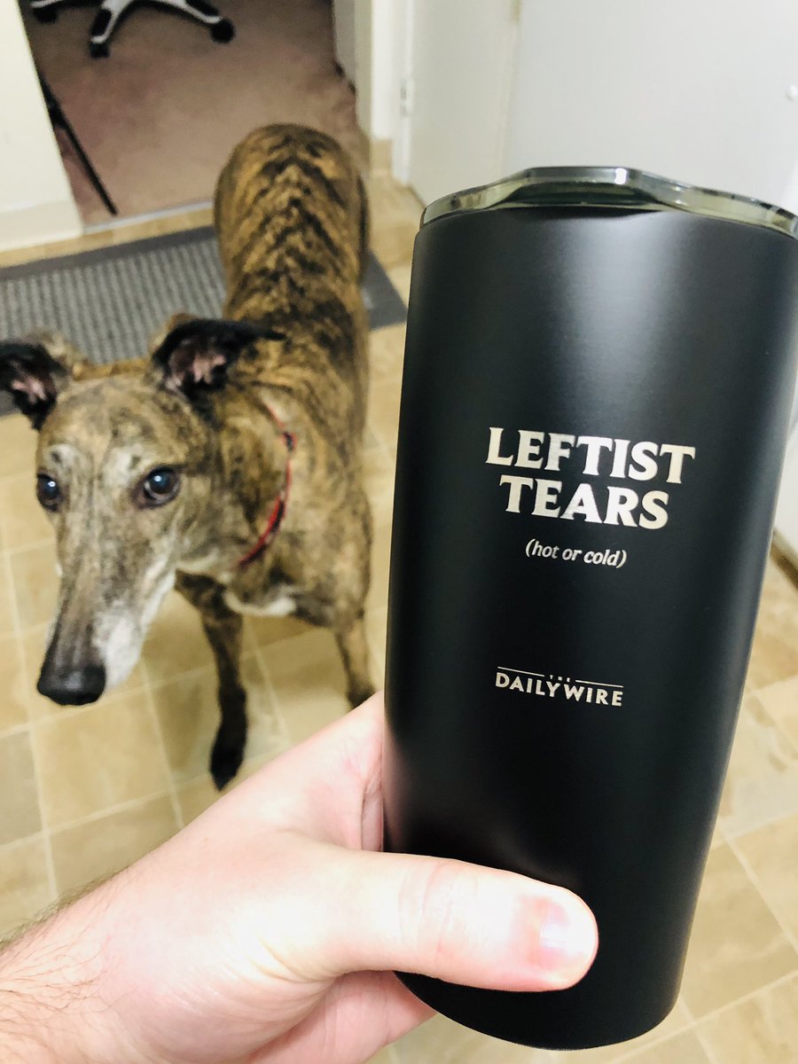 Greyhounds don’t care about your feelings... Only naps.. and rabbits.. @benshapiro @realDailyWire #LeftistTearsTumbler #MakeAmericaGreytAgain