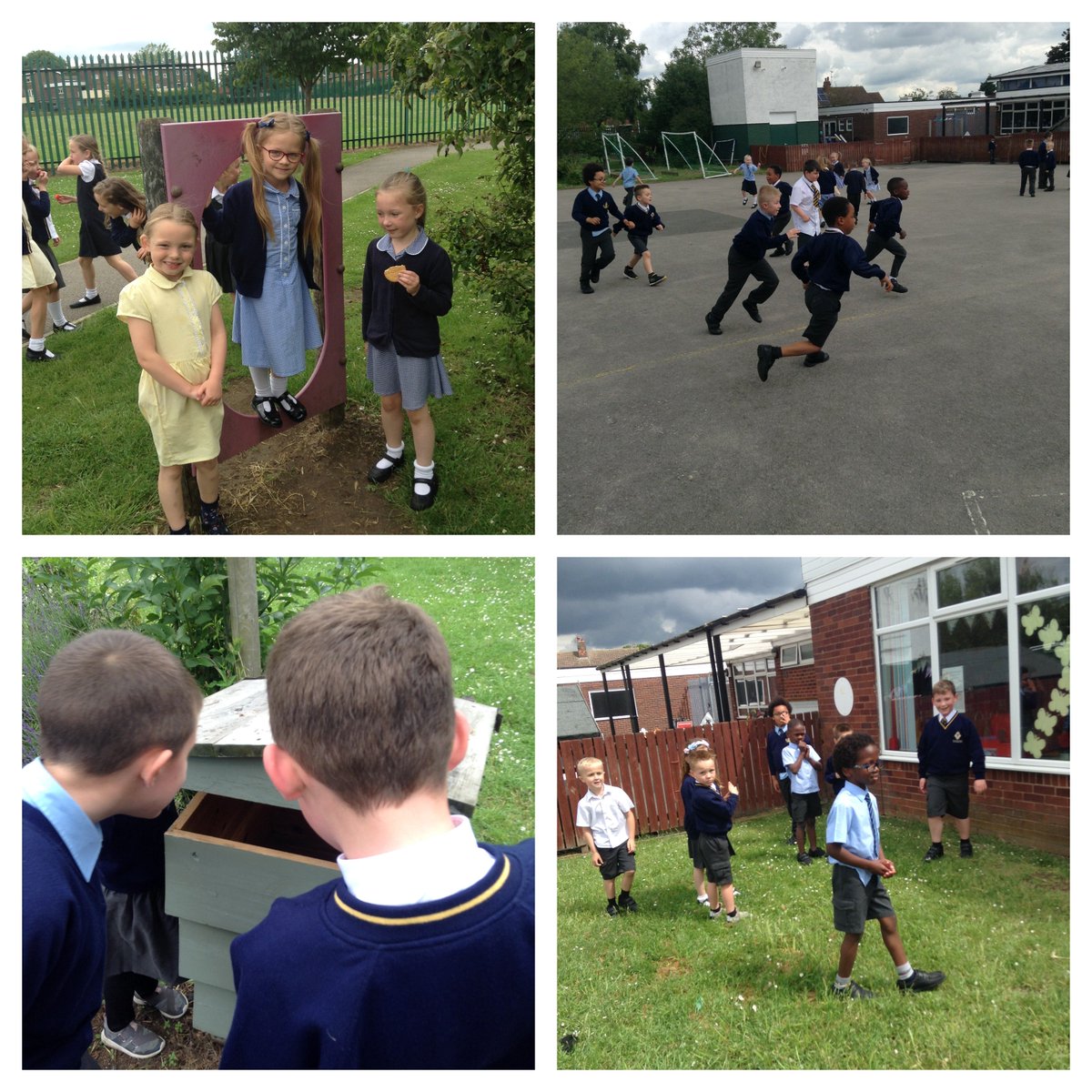 Year 1 tweet media