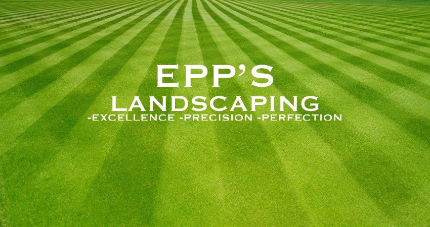 EPP’S LANDSCAPING tweet media