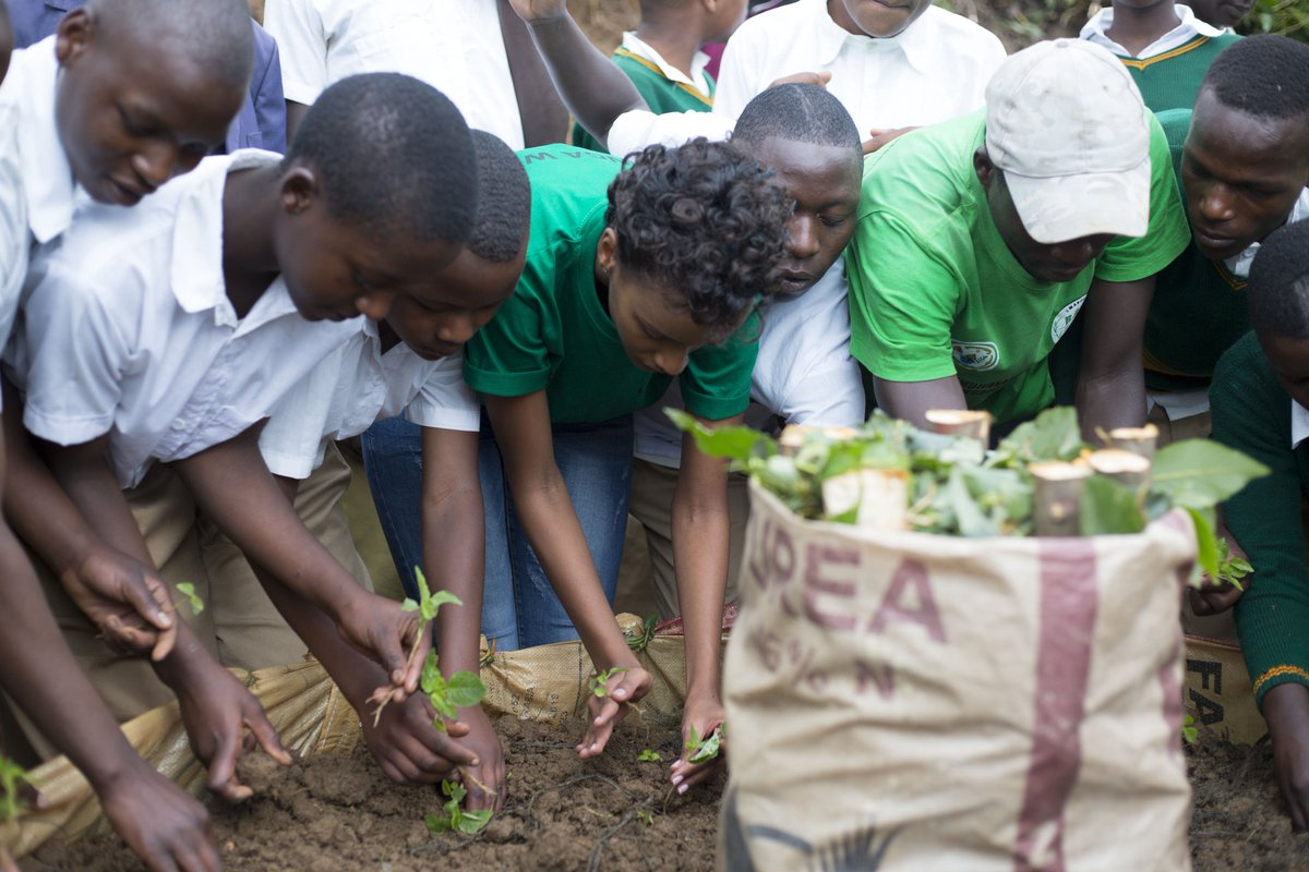 vmugarura's tweet photo. Farming -- a youth affair! Merci @USAIDHingaWeze, @ryaf_agribiz @NimwizaMeghan, @MissRwanda2018, @UR_CAVM https://t.co/gr4XkIfKkL