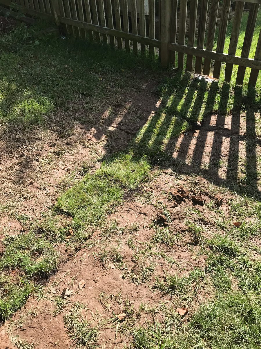 EPP’S LANDSCAPING tweet media