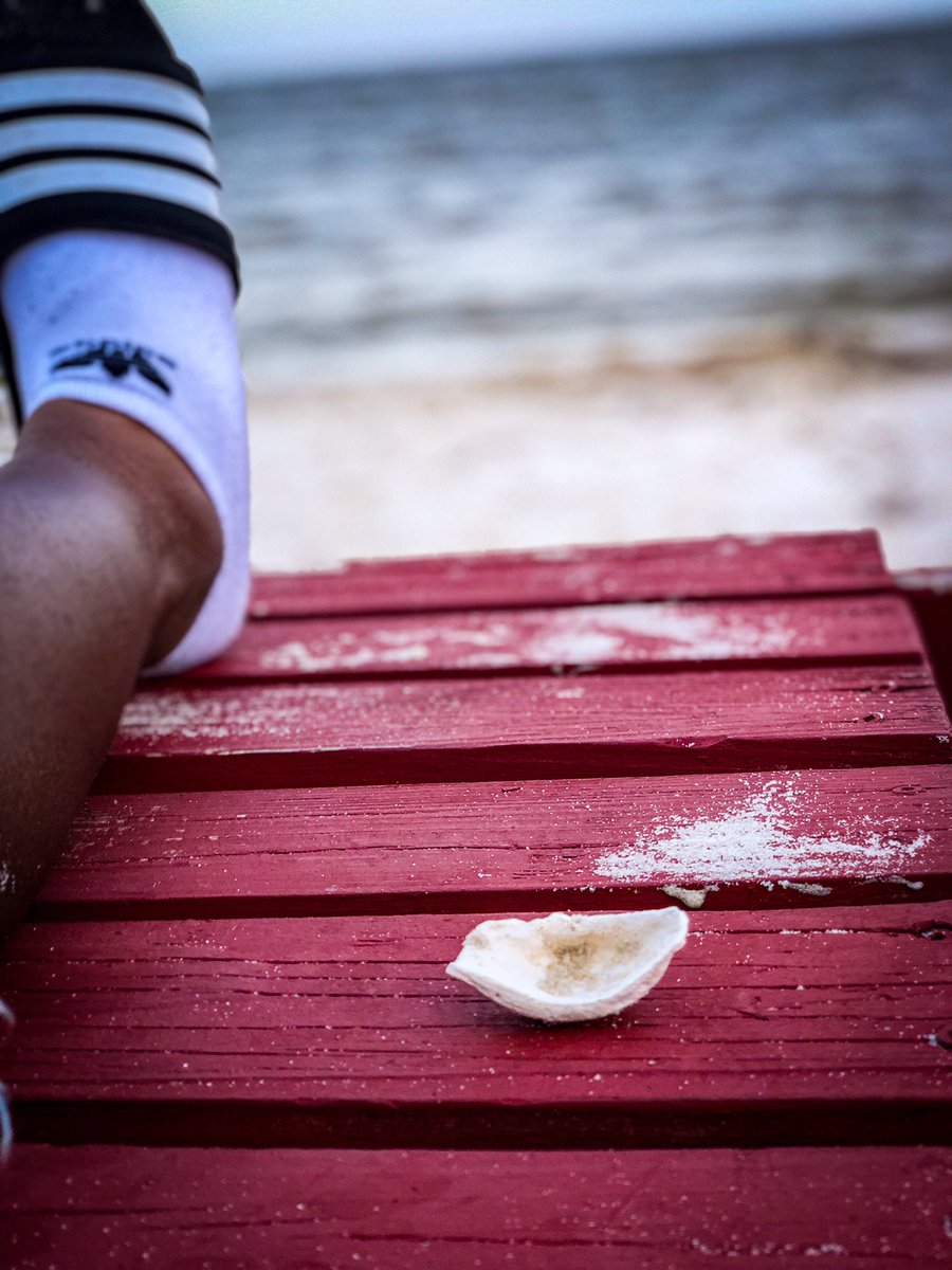 MrJeBlack's tweet photo. Selling seashells by the seashore lol https://t.co/iAOdrCtplG