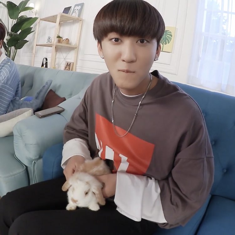 ꒰ #CHANGBIN ; #창빈 ꒱

—skz talker ep 16