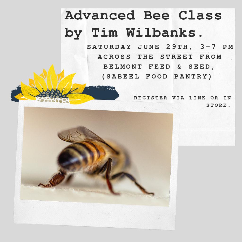 belmontfandseed's tweet image. We have a *free* advanced bee class coming up this Saturday, June, 29th. Our friend, commercial beekeeper, Tim Wilbanks, will be leading the class. He is a fifth generation beekeeper.🐝

#belmontfeedandseed #beekeeping #beekeepingclass #beekeepers #windycitybees #honeybees #bees