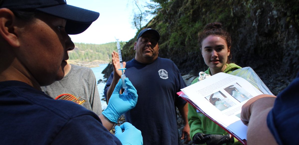 Stewards from northern Vancouver Island and beyond had a week of knowledge sharing and capacity building at Hakai’s ecological observatory on Quadra Island

hakai.org/blog/guardian-…
#Nanwakolas #GuardianWatchmen