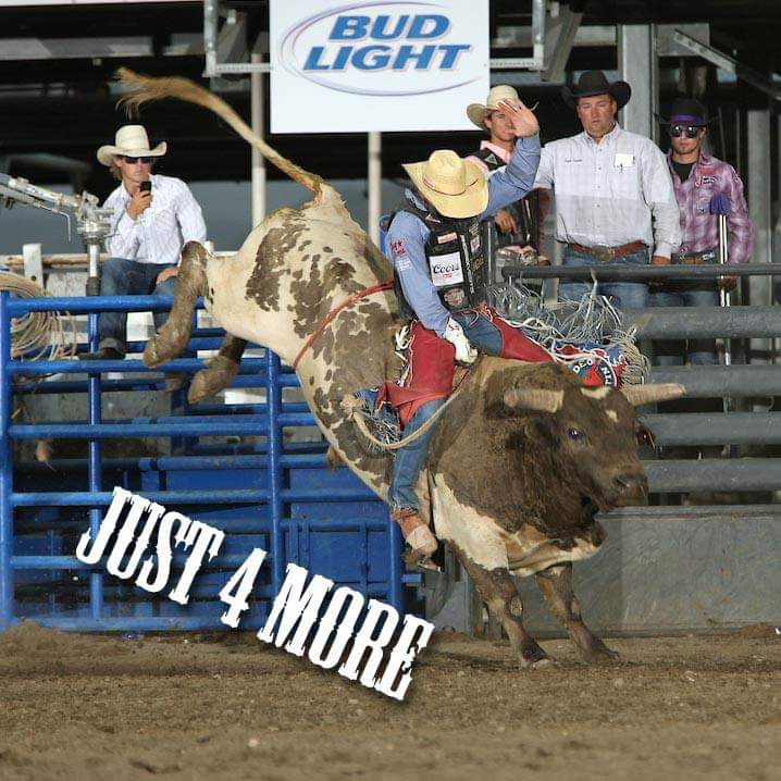We are just 4 days away from the 100th Cody Stampede. They probably didn’t have bull riding as an event in 1919, but we couldn’t have a rodeo today without it! Last year’s winner, J.W. Harris walked away with $8,629.  Bull Stock Media photo. #100yearsofrodeo #CodyisRodeo