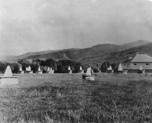 WCHFUtah's tweet photo. More photos of the Artesian Park in Ogden Valley courtesy of Lindsay Deamer. π¦ #webercountyhistory #pineviewreservoir #ogdenvalley #artesianwell #artesianpark #pineviewreservoir #edenutah #gonebutnotforgotten https://t.co/gdtfZeXnKI