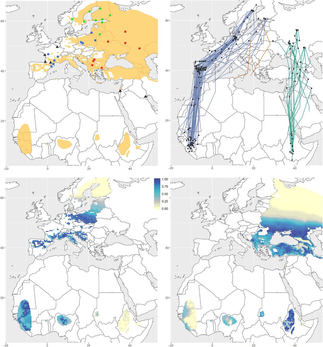 ECCCSciTech's tweet image. 1/ Neat to see a technique pioneered by one of our #ECCCsci-entists (Keith Hobson) applied to all sorts of problems. Recently, his stable isotope technique was used, along with other methods, to get to the bottom of declining ortolan bunting populations in Europe.