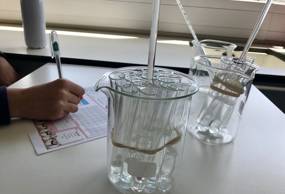 HABermondsey's tweet photo. Today we welcomed girls from @SouthwarkParkPS for a STEM workshop on #penguin huddling as part of the #PolarExplorerProgramme @STEMLearningUK #graphskills #investigation #transition #science #ProudToBeHAB Why don’t polar bears eat penguins? They can’t get the wrappers off!! https://t.co/E482VxMO0m