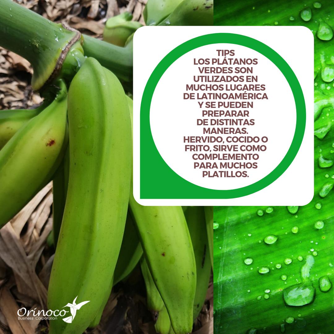 BusinessOrinoco's tweet photo. Gracias a su gran aporte de potasio, los plátanos verdes pueden ser muy adecuados para nuestra salud cardíaca, pero deberemos evitarlos si tenemos problemas hepáticos o renales.. #Salud #Jueves https://t.co/KxZbmX6F95